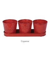 Robert Allen Concord 6 inch Pot with Tray Cayenne