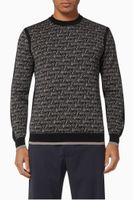 EA Text Jacquard Knit Sweater - thumbnail