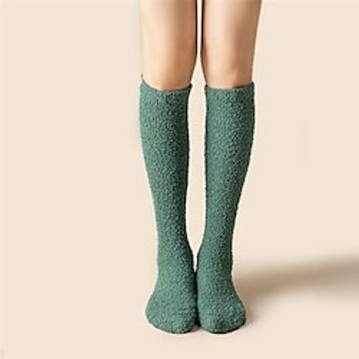 Women's 1 Pair Socks Stockings Slipper Socks Fashion Comfort Polyester Solid Colored Casual Daily Indoor Warm Winter Fall Light Blue Green Black miniinthebox