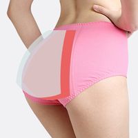 Leakproof Panties High Cut Pure Cotton