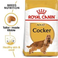 Royal Canin Breed Health Nutrition Cocker Adult 3 Kg Dog Food