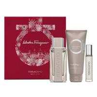 Salvatore Ferragamo Ferragamo Bright Leather (M) Set Edt 100Ml + Edt 10Ml + Sg 100Ml