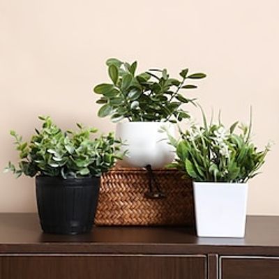 3 Pack Small Faux Plants for Office Desk Fake Mini Potted Plants for Shelf Artificial Greenery Eucalyptus Plant Indoor for Home Bedroom Living Room Décor Lightinthebox 3 Pack Small Faux Plants for Office Desk Fake Mini Potted Plants for Shelf Artificial Greenery Eucalyptus Plant Indoor for Home Bedroom Living Room Décor Lightinthebox