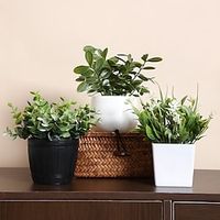 3 Pack Small Faux Plants for Office Desk Fake Mini Potted Plants for Shelf Artificial Greenery Eucalyptus Plant Indoor for Home Bedroom Living Room Décor Lightinthebox - thumbnail