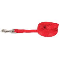 Aspen Pet Nylon Lead - Red - 3/8" x 5'