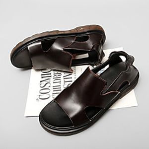 Men's Sandals Casual Beach Daily Water Shoes Upstream Shoes Nappa Leather Breathable Non-slipping Wear Proof Black Brown Summer Lightinthebox