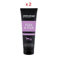 Animology Flea & Tick Puppy & Dog Shampoo 250ML Pack Of 2