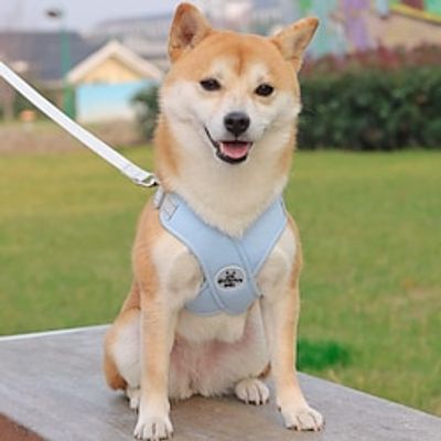 Best Dog Harness and Leash for Small Dog Puppy Fully Adjustable Service Pet Vest HarnessNo Choke No Slip Dog Harnesses for Outdoor Walking Hiking 10 lbs Lightinthebox Best Dog Harness and Leash for Small Dog Puppy Fully Adjustable Service Pet Vest HarnessNo Choke No Slip Dog Harnesses for Outdoor Walking Hiking 10 lbs Lightinthebox