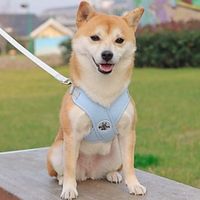 Best Dog Harness and Leash for Small Dog Puppy Fully Adjustable Service Pet Vest HarnessNo Choke No Slip Dog Harnesses for Outdoor Walking Hiking 10 lbs Lightinthebox - thumbnail