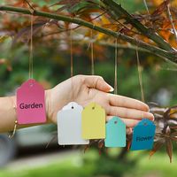 50pcs Gardening Plant Waterproof Hanging Tags Flower Vegetable Planting Label Tools