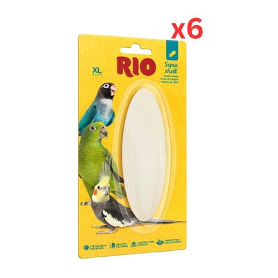 Rio Sepia Shell XL (Pack Of 6)
