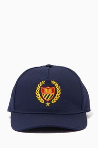 Academy Crest Dad Hat