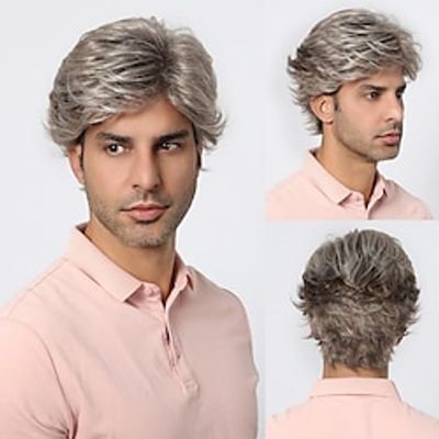Synthetic Wig Uniforms Career Costumes Princess kinky Straight Middle Part Layered Haircut Machine Made Wig 8 inch Grey Synthetic Hair Men's Cosplay Party Fashion Multi-color Lightinthebox