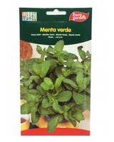 Euro Garden Green Mint Premium Quality Seeds