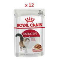 Royal Canin Feline Health Nutrition Instinctive Adult Cats Gravy 85g - WET FOOD Pouches (Pack Of 12)