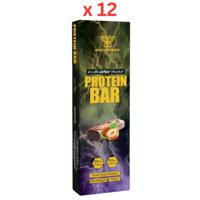 Healthy & Tasty Protein Bar Hazelnut 70 G, Box Of 12, 20G Protein, 252 Kcal, Soy Protein Free, Non Gmo, Food Supplement