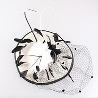 Hyperbole Feathers Fascinators with Feather / Flower 1pc Wedding / Party / Evening Headpiece miniinthebox Hyperbole Feathers Fascinators with Feather / Flower 1pc Wedding / Party / Evening Headpiece miniinthebox