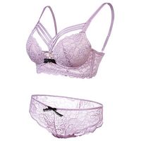 Sexy Embroidery Lace Breathable Bra Sets Soft Adjustable Underwire Bra Set