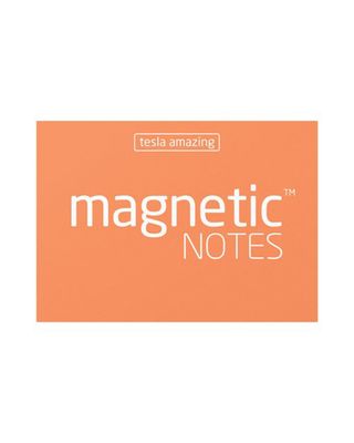 Tesla Amazing Magnetic Notes-Peach Small