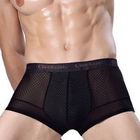 Mesh Ice Silk Printing Sexy Underwear U Convex Pouch Brief Boxers for Men