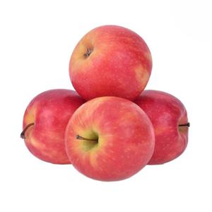 Fit Fresh Apple Pink Lady Kg