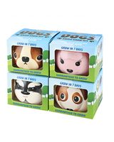 Paris Garden Adopt a Dog Grow kit Paris Garden Adopt a Dog Grow kit