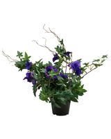 Homesmiths Artificial Flower Assorted 1 Piece Homesmiths Artificial Flower Assorted 1 Piece