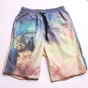 Quickly Dry Pockets Board Shorts