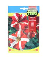 Fito Petunia Dwarf Compact Red Star Seeds Fito Petunia Dwarf Compact Red Star Seeds