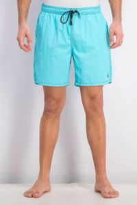 Mens Dale Solid Swim Trunks  Arctic Blue
