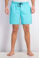 Mens Dale Solid Swim Trunks  Arctic Blue - thumbnail