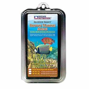 Ocean Nutrition Brown Seaweed 12G