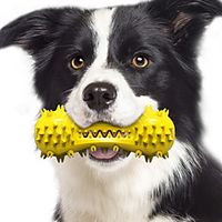 Chew Toy Pet Molar Bite Toy Dog Play Toy Dog 1pc Teething Rope Toy TPR Gift Pet Toy Pet Play miniinthebox - thumbnail
