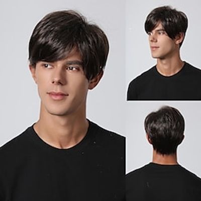 Synthetic Wig kinky Straight Middle Part Layered Haircut Machine Made Wig 8 inch Dark Brown Synthetic Hair Men's Cosplay Party Fashion Dark Brown Christmas Party Wigs Lightinthebox