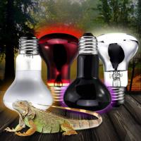 Red Nightlight Heater Reptile Light Lamp AC220-240V - thumbnail