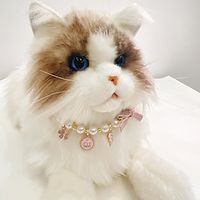 Amazon Japan and South Korea Pet Necklace Cat Neck Pearl jewelry Yorkshire Blue white English short American short pet collar Lightinthebox - thumbnail