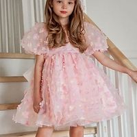 Flower Girl's Dress Kids Girls' Party Dress Solid Color Short Sleeve Performance Mesh Princess Sweet Mesh Mid-Calf Sheath Dress Tulle Dress Summer Spring Fall 2-12 Years Pink Lightinthebox