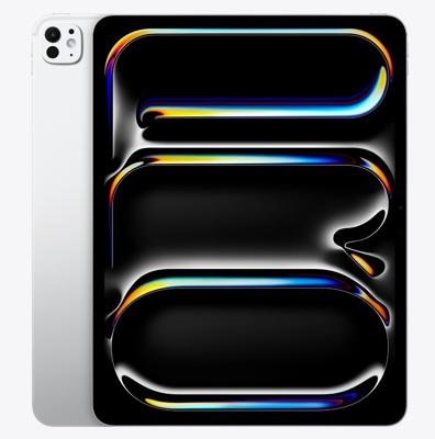 Apple iPad Pro M5 (2025),11-inch, Wi-Fi, 256GB with Standard glass - Black