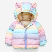 Toddler Girls' Hoodie Jacket Solid Color Active Zipper School Coat Outerwear 3-7 Years Summer Rainbow colors Lightinthebox - thumbnail