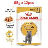 Royal Canin Feline Breed Nutrition British Shorthair Cat Wet Food Pouches 85g x 12 pcs