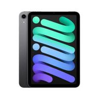 Apple iPad Mini WIFI 2021 (Display/Open Unit)