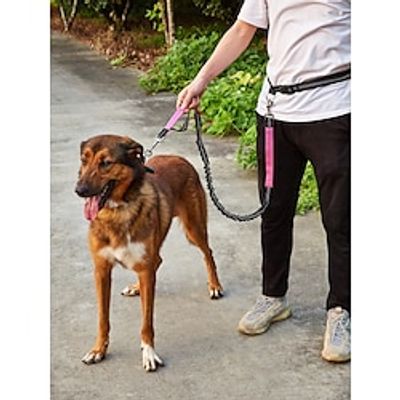Dog Cat Running Leash Trainer Durable Safety Safety Soft Sports Outdoor Running Color Block Polyester Small Dog Medium Dog Large Dog Light Green Pink Blue Gray 1PC Lightinthebox