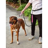 Dog Cat Running Leash Trainer Durable Safety Safety Soft Sports Outdoor Running Color Block Polyester Small Dog Medium Dog Large Dog Light Green Pink Blue Gray 1PC Lightinthebox - thumbnail