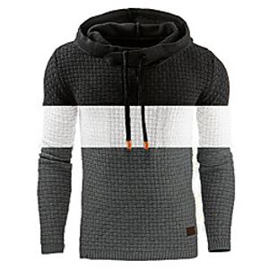 Men's Pullover Hoodie Sweatshirt Color Block Casual Daily Holiday Sportswear Casual Hoodies Sweatshirts  Black Brown miniinthebox