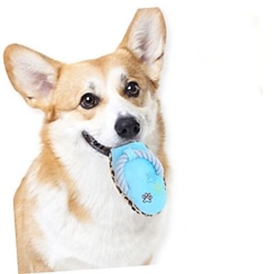 Chew Toys Indestructible Dog Toys Dog Shoe Chew Toy Dog Teething Toys Plush Puppy Plushes Dog Teether Toy Tough Dog Toys Plush Cat Stuffed Animal Durable Squeaky Toy Lightinthebox