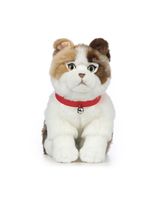 Keycraft Living Nature Cats Scottish Fold Cat
