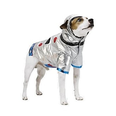 Show and Tail The Galactic Dog Costume for Halloween Christmas and Party wear Costume - Large Lightinthebox
