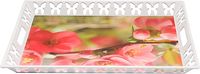 Royalford 50X38 CM Rectangular Butterfly Tray-(Multicolor)-(RF11269)