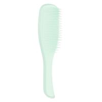 Tangle Teezer Wet Detangler Fine & Fragile Mint