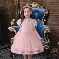Kids Girls' Party Dress Solid Color Short Sleeve School Formal Performance Fashion Princess Cotton Flower Girl's Dress Summer Spring Fall 2-12 Years White Pink Blue Lightinthebox